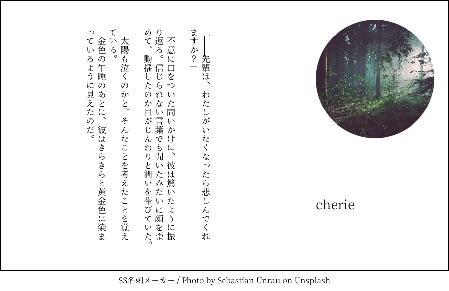 読者視点の創作小説・ご希望のシチュで執筆します ご希望のシチュエーションや関係性をもとに執筆します。 イメージ3