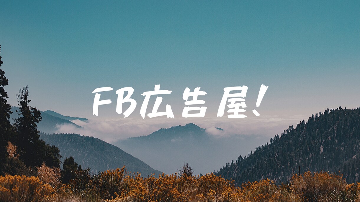 フェイスブック広告の運用相談乗ります 初めてフェイスブック広告の運用に不安のある方見てください！ イメージ1