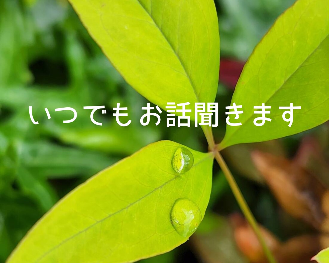 今話しましょ☆頑張ってるあなたの気持ちお聞きします 介護士が全力応援☆心の声に傾聴☘️愚痴☘️雑談☘️仕事☘️ イメージ5