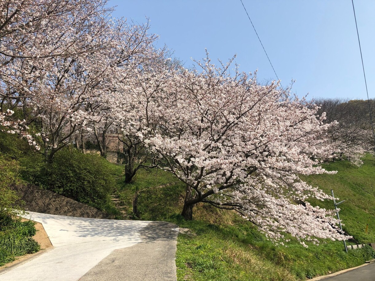 家計や資産のお悩み相談【女性用】受け付けます ファイナンシャルプランナーがお悩みを解決させて頂きます。 イメージ1