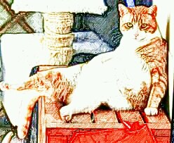 あなたの画像を色鉛筆風にします 可愛く又はかっこよく加工したいあなたへ イメージ2