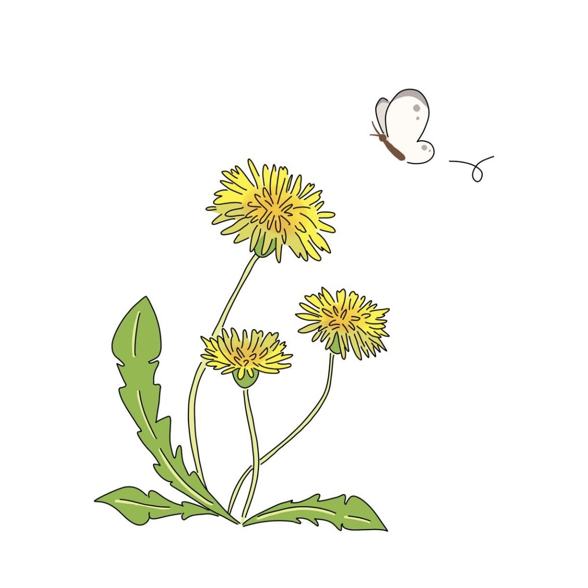 デジタル、アナログOK♪お絵描きレッスンします 絵に自信がない方でも楽しくレッスン⭐︎お子様〜ご高齢の方まで イメージ6