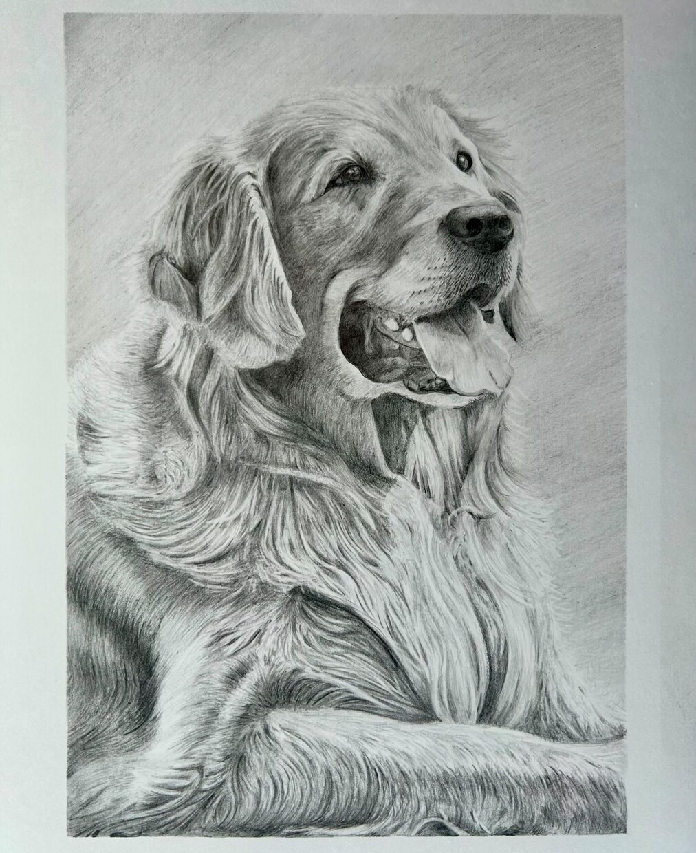 鉛筆画でペットのリアル似顔絵を手描きで作成致します 犬・猫を鉛筆で細部まで丁寧に描きます！ イメージ9