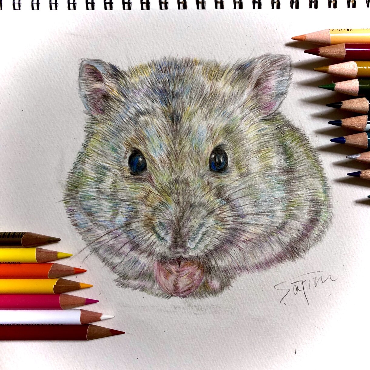 可愛い！思わず飾りたくなるペットイラスト描きます 世界にたった1枚の宝物を作りませんか？ イメージ4