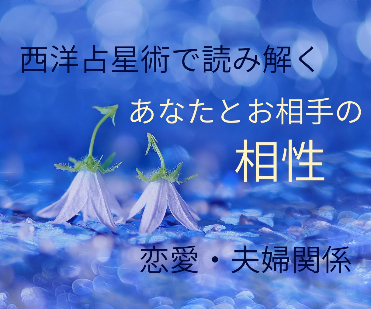 お相手との相性・関係性を西洋占星術で読み解きます 片思い・恋愛・夫婦の相性等お二人のホロスコープから鑑定します イメージ1