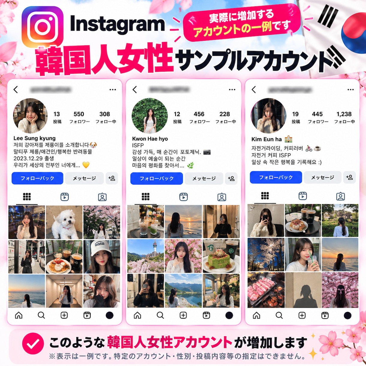Instagram韓国人女性フォロワー増やします 先着100名限定の特別価格｜100人1,500円 イメージ2