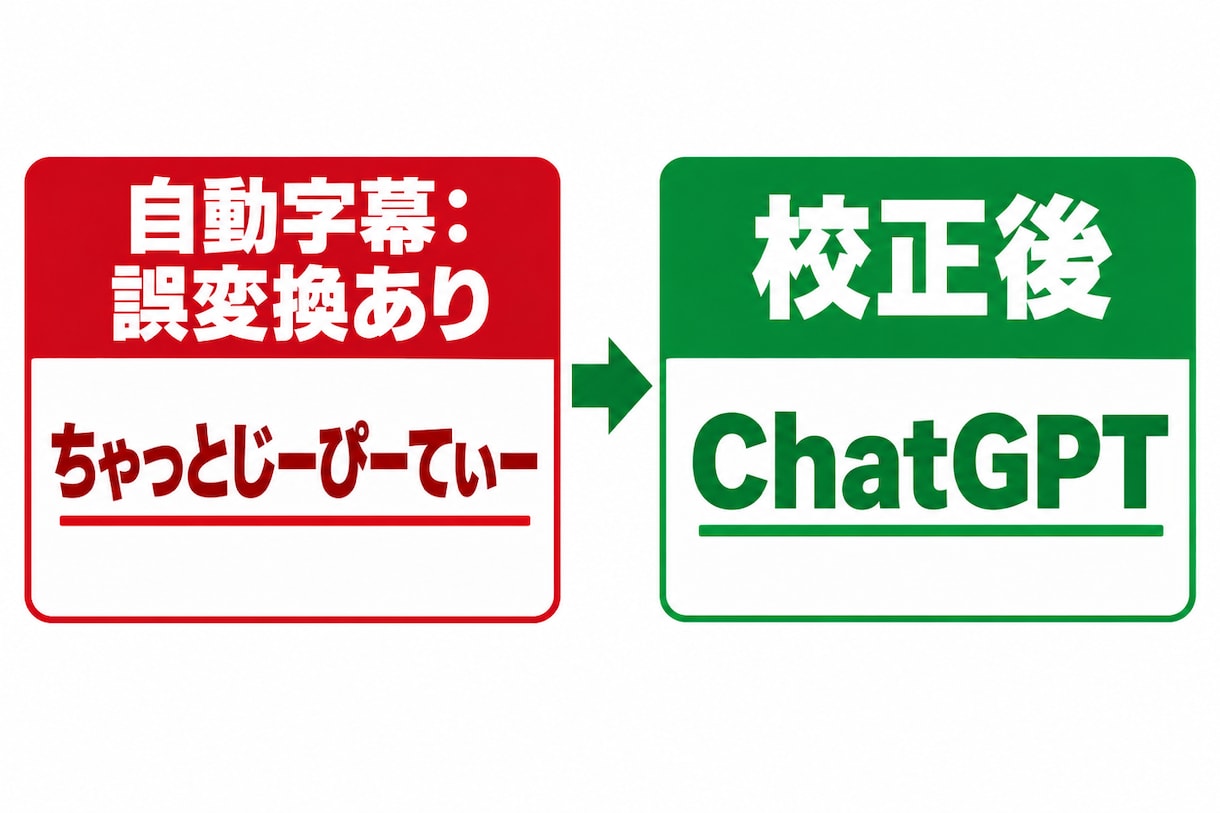 字幕・文字起こしを20分3,000円で作成します SRTとテキストで納品。20分まで3,000円・2日 イメージ2