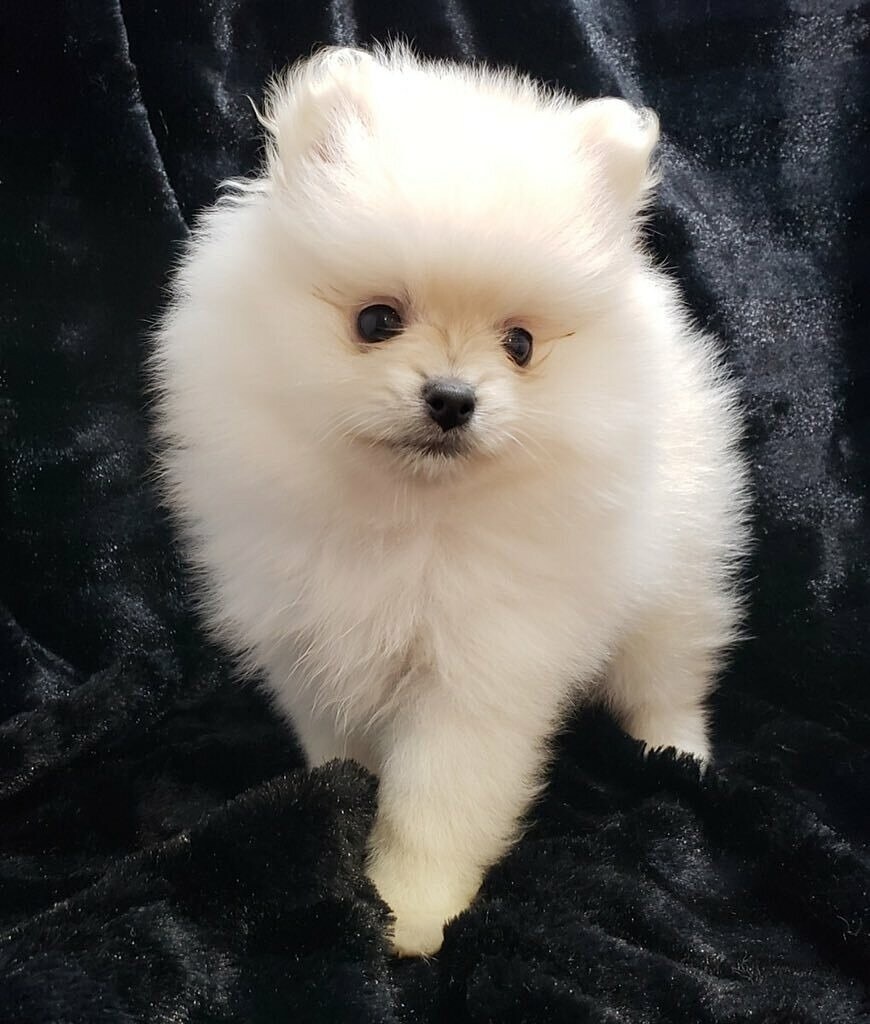 電話が苦手な方、チャットでお話聞きます どんな貴方も受け入れます♡今日あった出来事を聞かせてください イメージ5