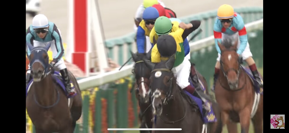 競馬の独自の見解と本命馬、推奨馬予想します あなたの予想を手助けします。展開から予想してます地方競馬も。 イメージ4