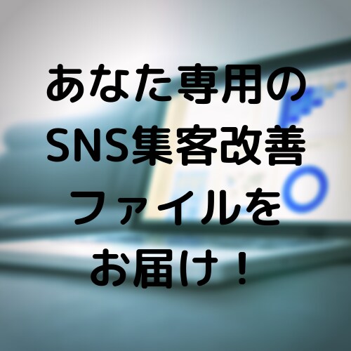 リピート率0%SNS集客の分析改善資料を送付します SNSで売りたいあなた専用の改善資料送付 イメージ1