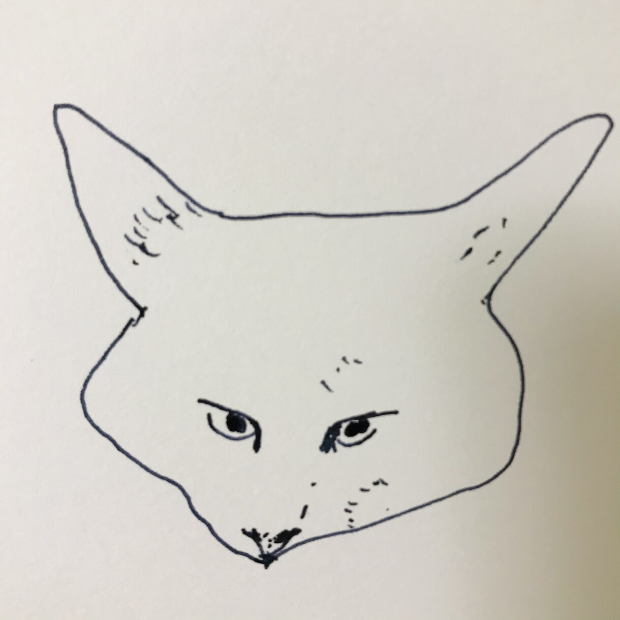 色んな猫　描きます ご自身のペット似顔絵・アイコン、猫好きの方に♡ イメージ3