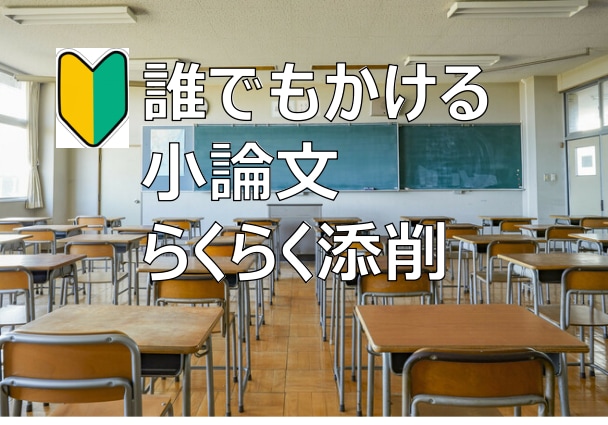 一度も書いたことなくても平気！小論文添削します 一文字もかけなくても、大丈夫！用意不要 イメージ1