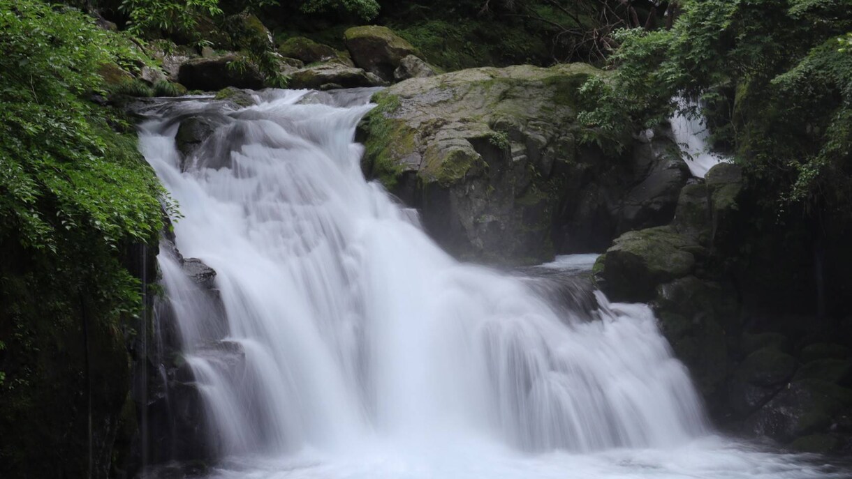 写真の撮影代行、福岡の風景・名物撮影します 現役写真部部長が撮影！みなさんを旅行気分、癒しを提供！ イメージ4