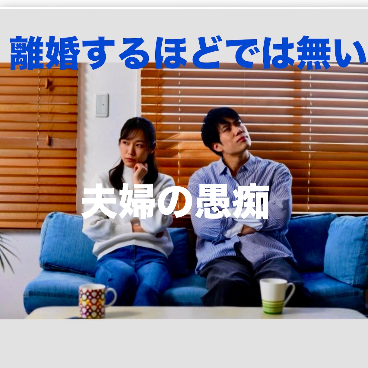 離婚に至らない程の愚痴を聞きます 離婚に成程では無いかどモヤモヤする事、聞きます。 イメージ1