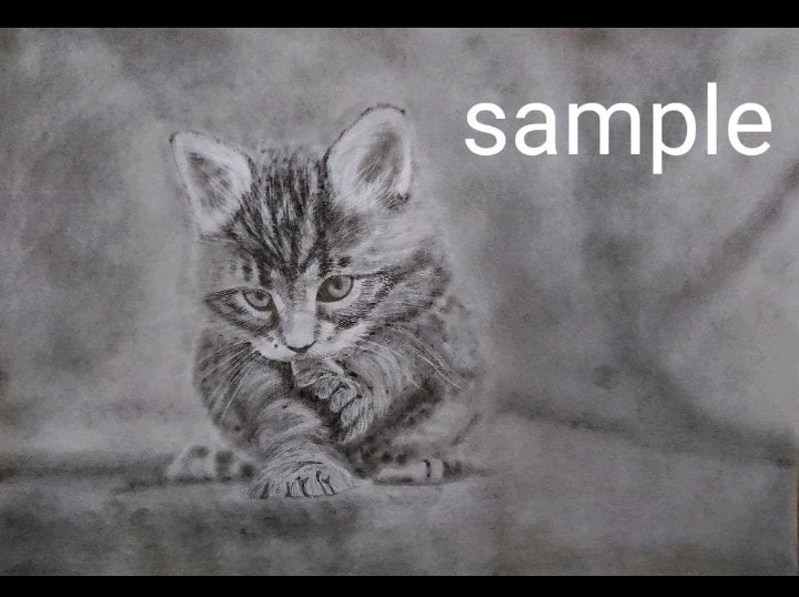愛犬、愛猫、ペットのリアルな似顔絵オーダー承ります 精密描写で描きます。インテリアアートなどにいかがでしょうか。 イメージ2