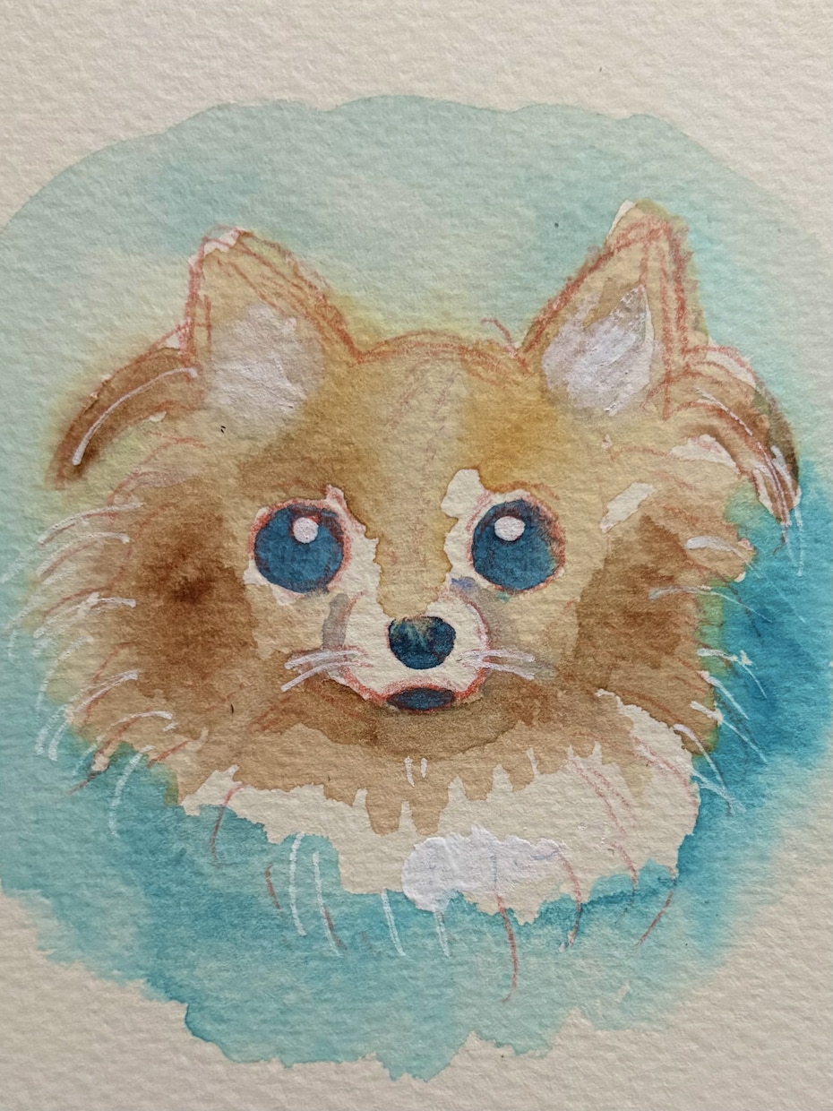 大切なペットをやさしい手描きイラストにします いつもの可愛い姿を、手描きの一枚に残しませんか？ イメージ6