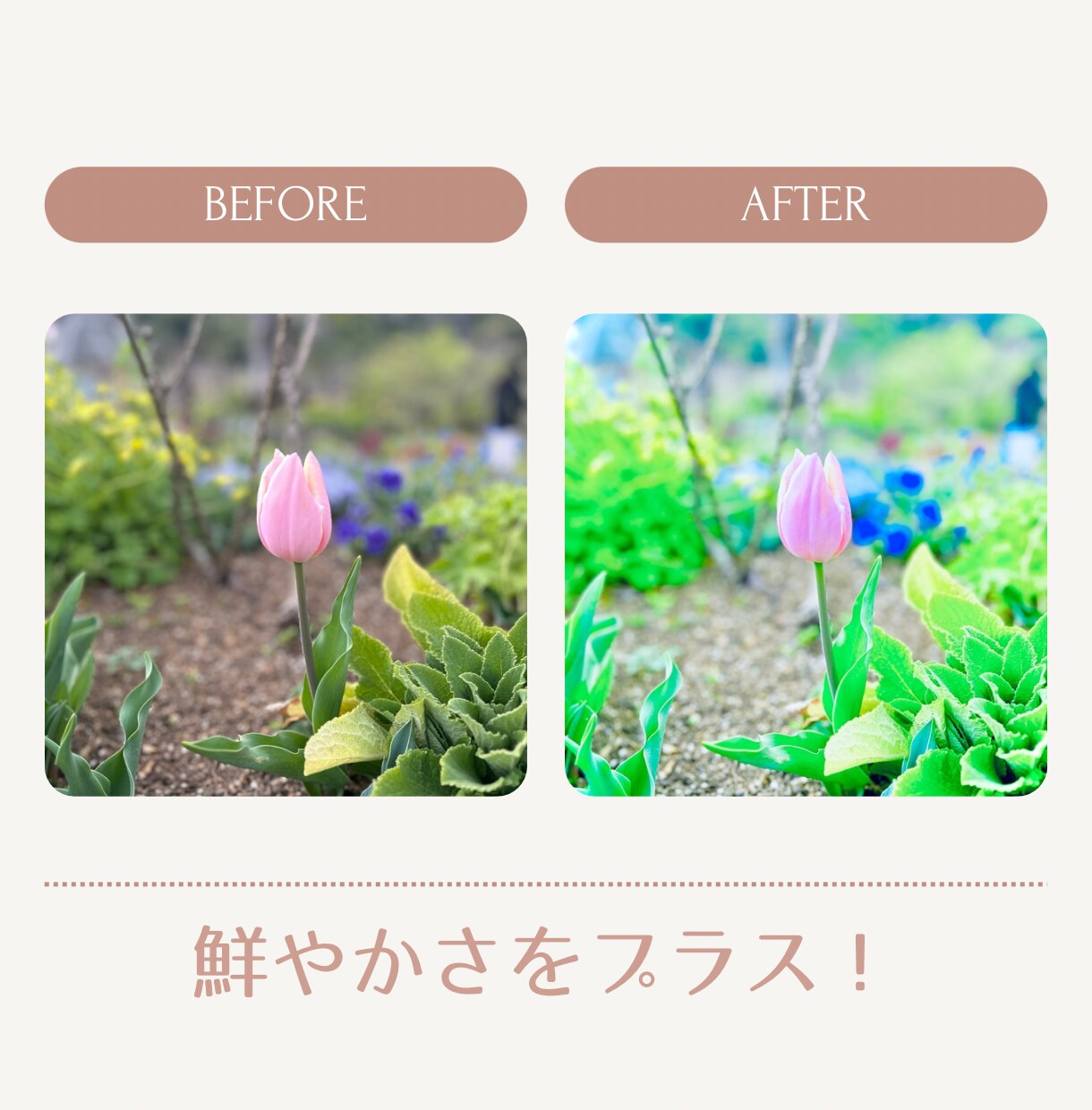 1000円で最大3枚！写真を彩り豊かに加工します 旅行の景色や食べ物など思い出の1枚や、SNS用にも✨️ イメージ1