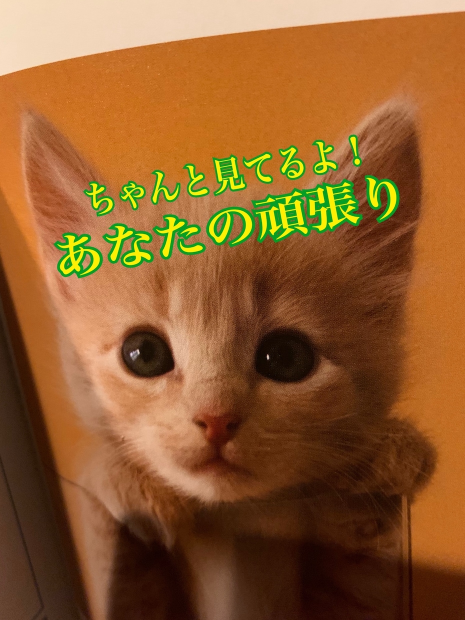頑張っているあなたの事見てます たくさん頑張ったあなたを自分で認めてあげませんか？ イメージ1