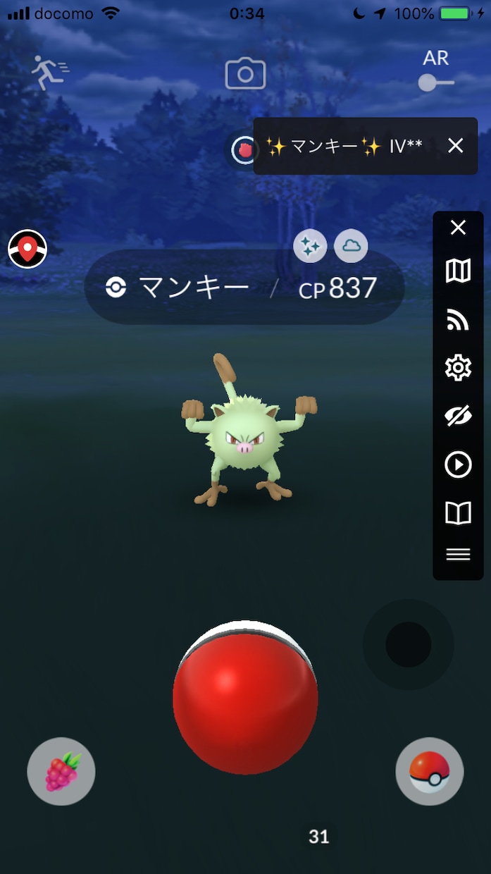 ポケモンgo 代行します 代わりに ポケモン捕まえます。 イメージ5
