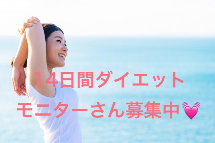 女性モニター特価！14日間ダイエットサポートします ビデオチャット2回付き♪カウンセリング＋エクササイズ指導♪ イメージ1