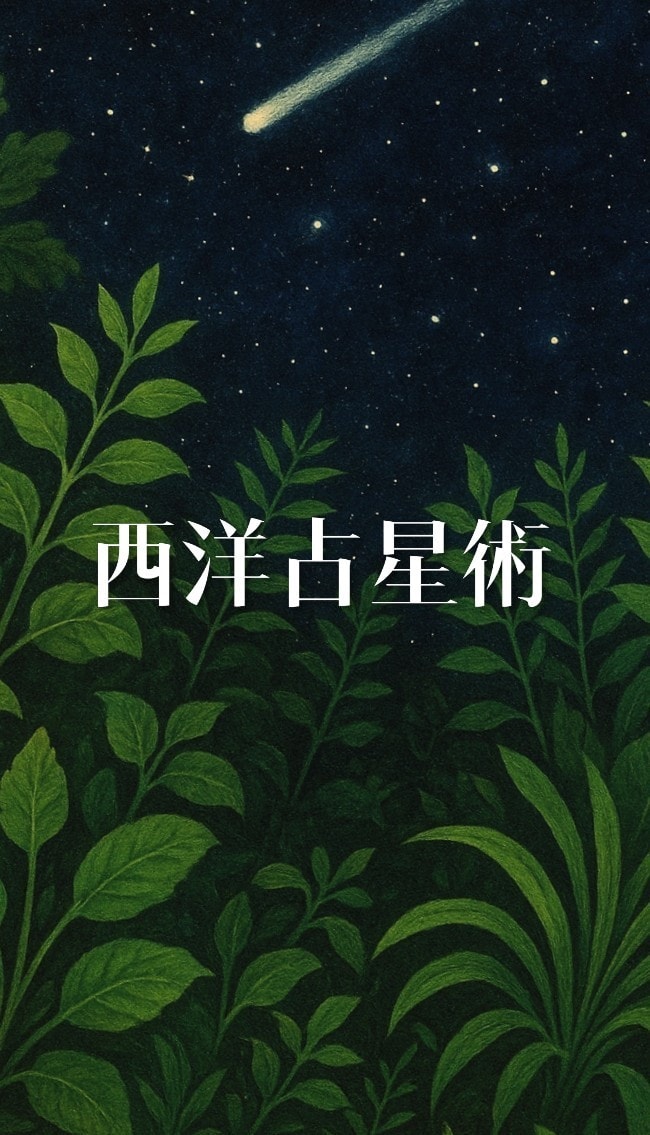 あなたの魂が今世やりたい方向をお伝えします 人生のブループリントをのぞいてみませんか イメージ1