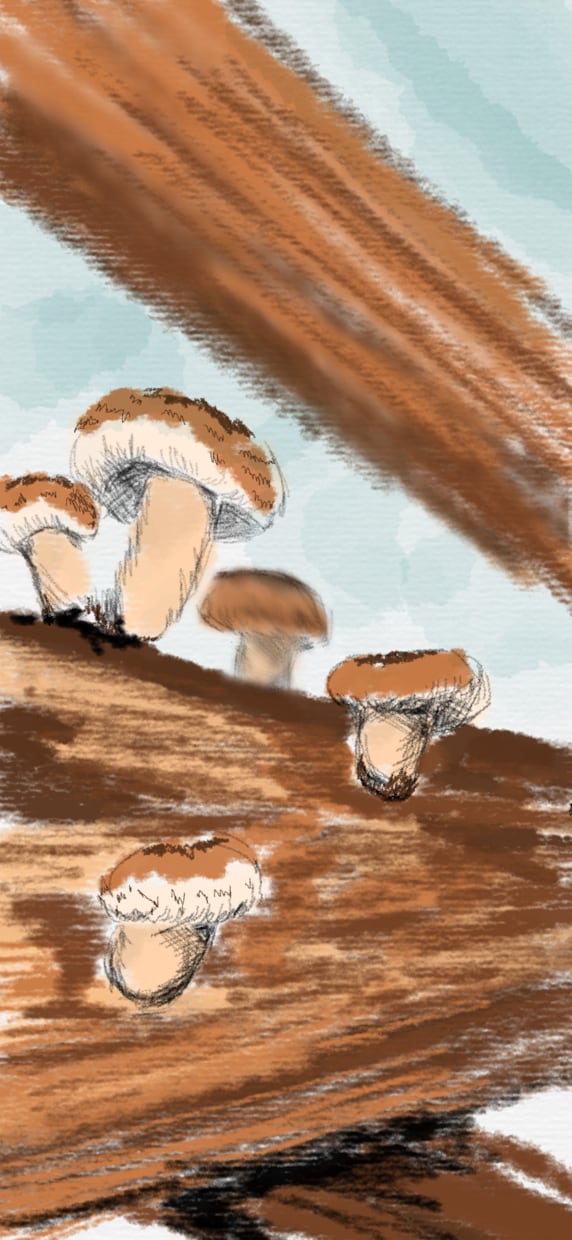 あなたの思い出を絵にします あなたの「あの時」の感動のシーンを絵に残したい方へ イメージ8