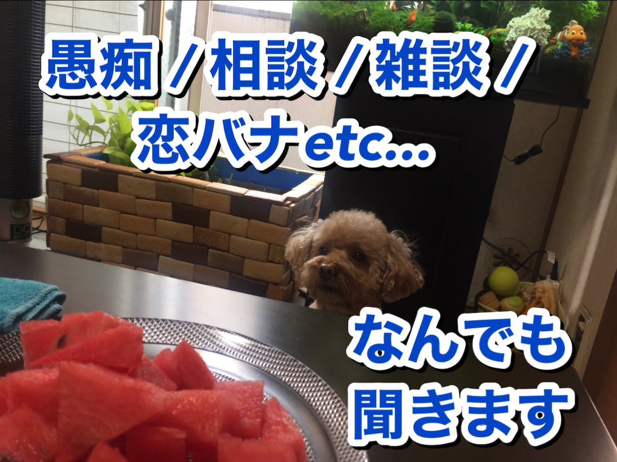 愚痴/相談/雑談/恋バナ/一児の母が何でも聞きます 前向きな気持ちになれるようサポート致します イメージ1