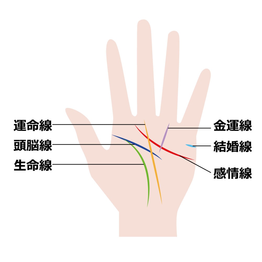 4種類の占い方法で占う＆悩みへのアドバイスをします 手相、人相、風水気学、タロットで総合運と悩みについて占います イメージ2