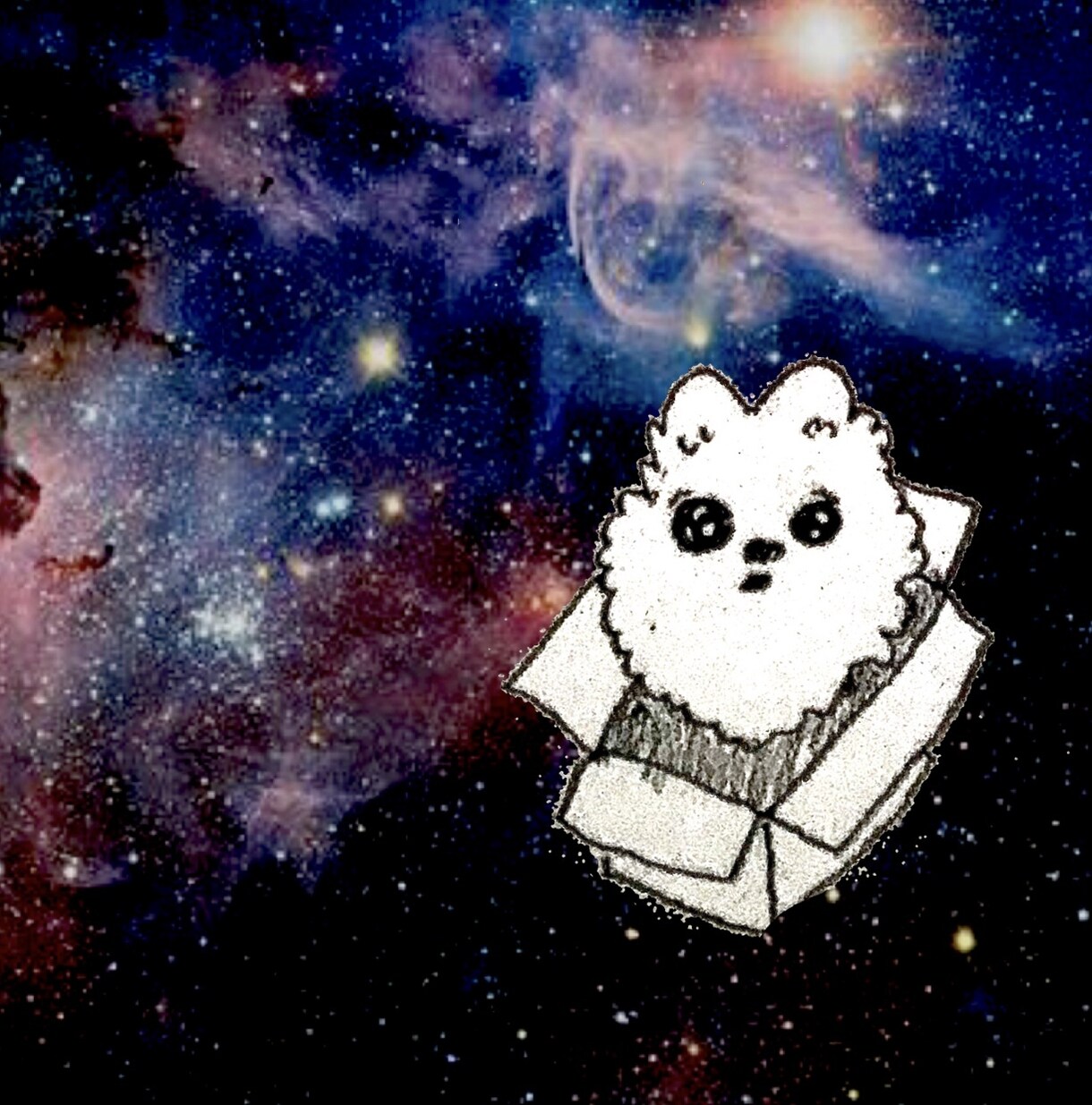 ペットのワンちゃんイラスト描きます 【犬限定】✰︎あなたのワンちゃんを宇宙に浮かばせませんか✰︎ イメージ9