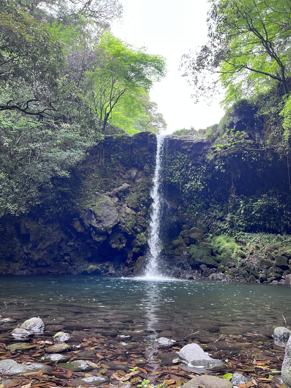 心療内科・精神科に行くか迷っている方相談乗ります イライラ、疲れた、涙が出る、緊張、パニック、うつ、適応障害 イメージ4