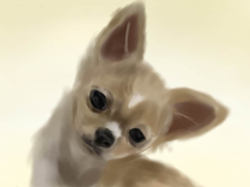 ペットのイラスト描きます 可愛らしさを残しつつ写真のようなリアルなイラスト描きます。 イメージ2