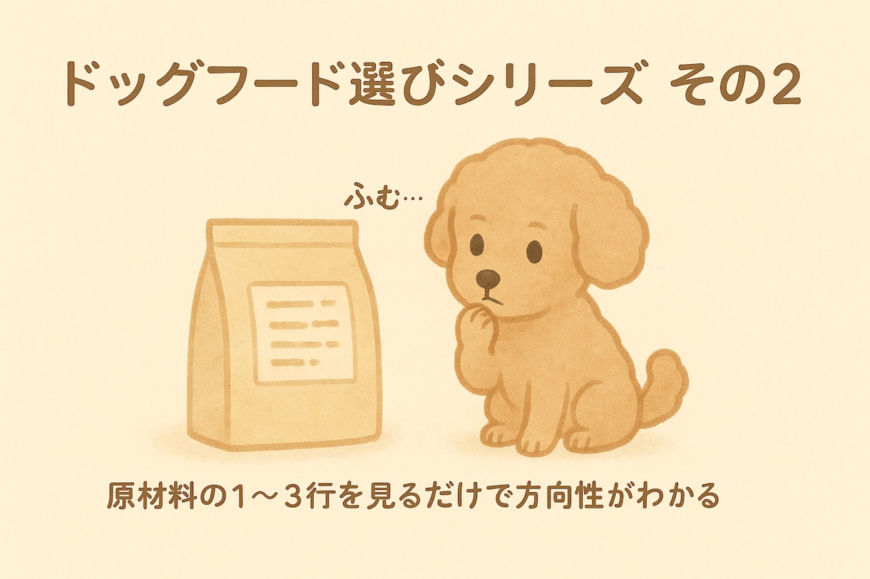 犬の食事やフードの不安を一緒に整理します 今のごはんが合っているか 迷っている方へ イメージ4