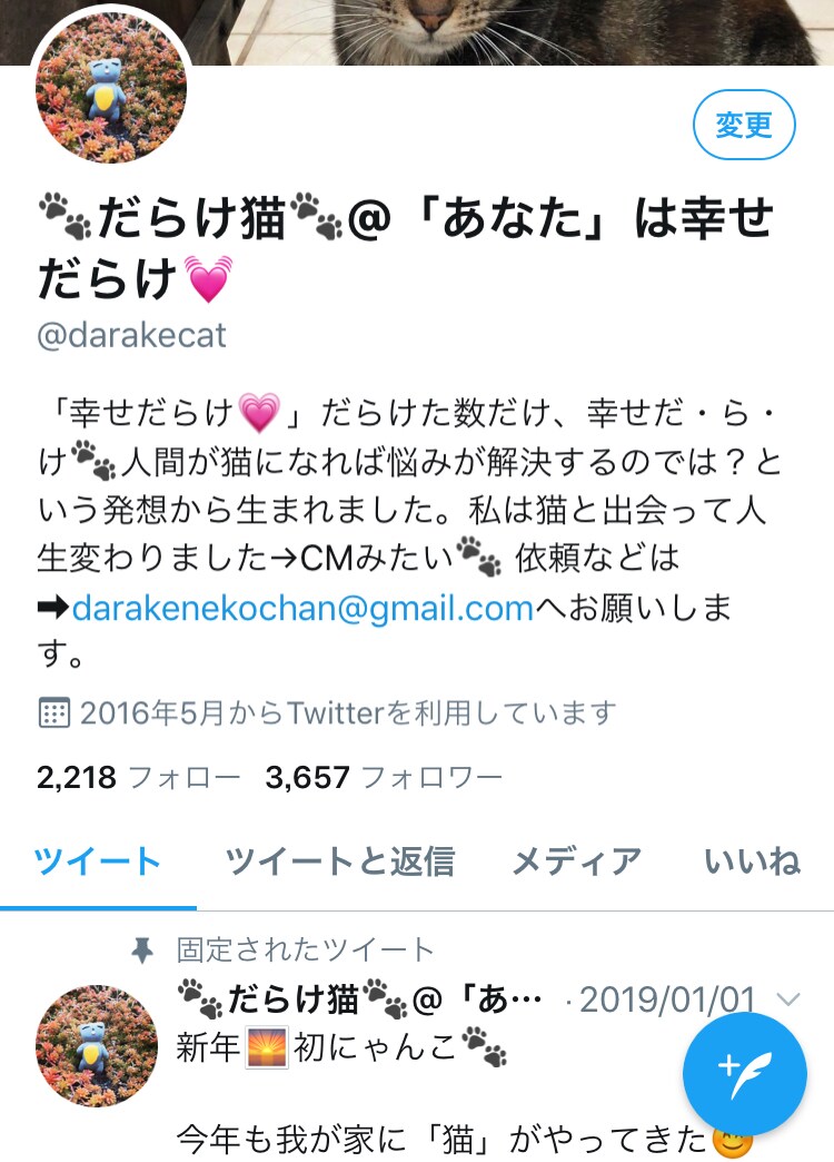 入門編Twitter初心者がすべきこと教えます Twitter「だらけ猫」の活動で学んだ経験を活かします イメージ2
