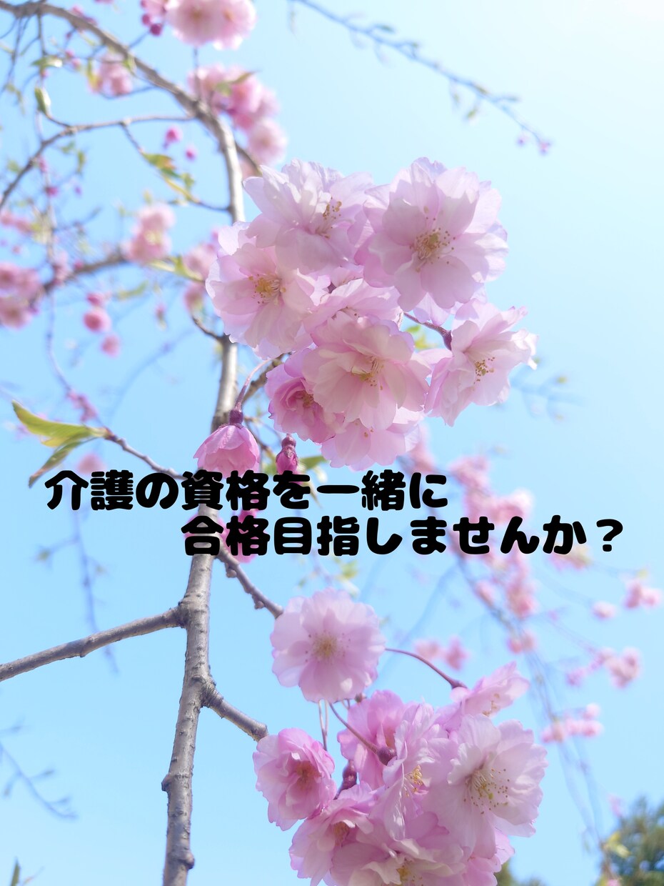 介護の資格合格のため、1か月間家庭教師をします 現役介護講師が、試験合格のために徹底サポートします。 イメージ1