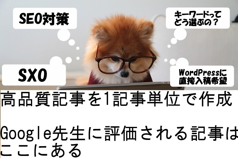 SEOで困ってる？検索で上位になる記事作成します WordPressの入力無料！現役WebライターがSEO対策 イメージ1