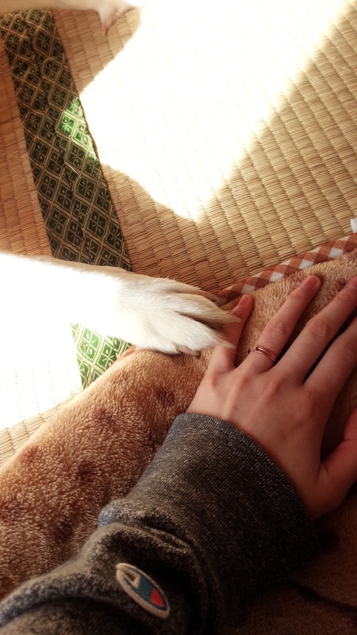 気になっている物事がある方、一緒に解決いたします 気になっている事があるけれど一人で考えていても答えが出ない方 イメージ2