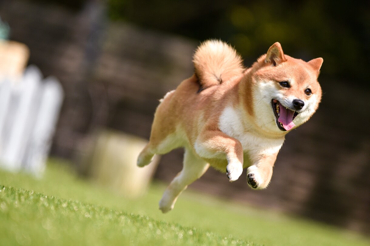 人生の課題を一緒に考えます 人生がうまくいかなくなった時、乗り越えるべき課題を考えます！ イメージ1