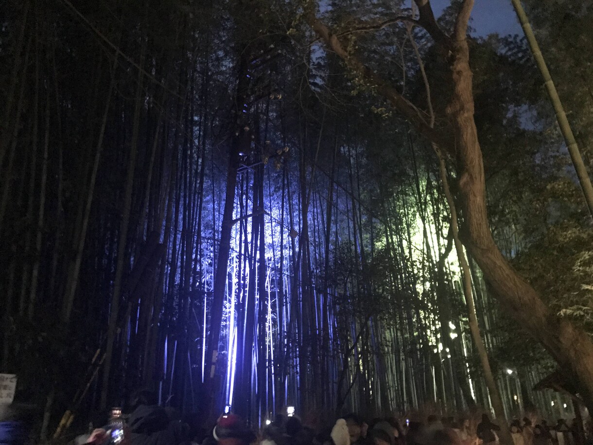 京都旅行の計画立てます 京都でのデート、友達との旅行、食べ歩き旅のプラン作成 イメージ3