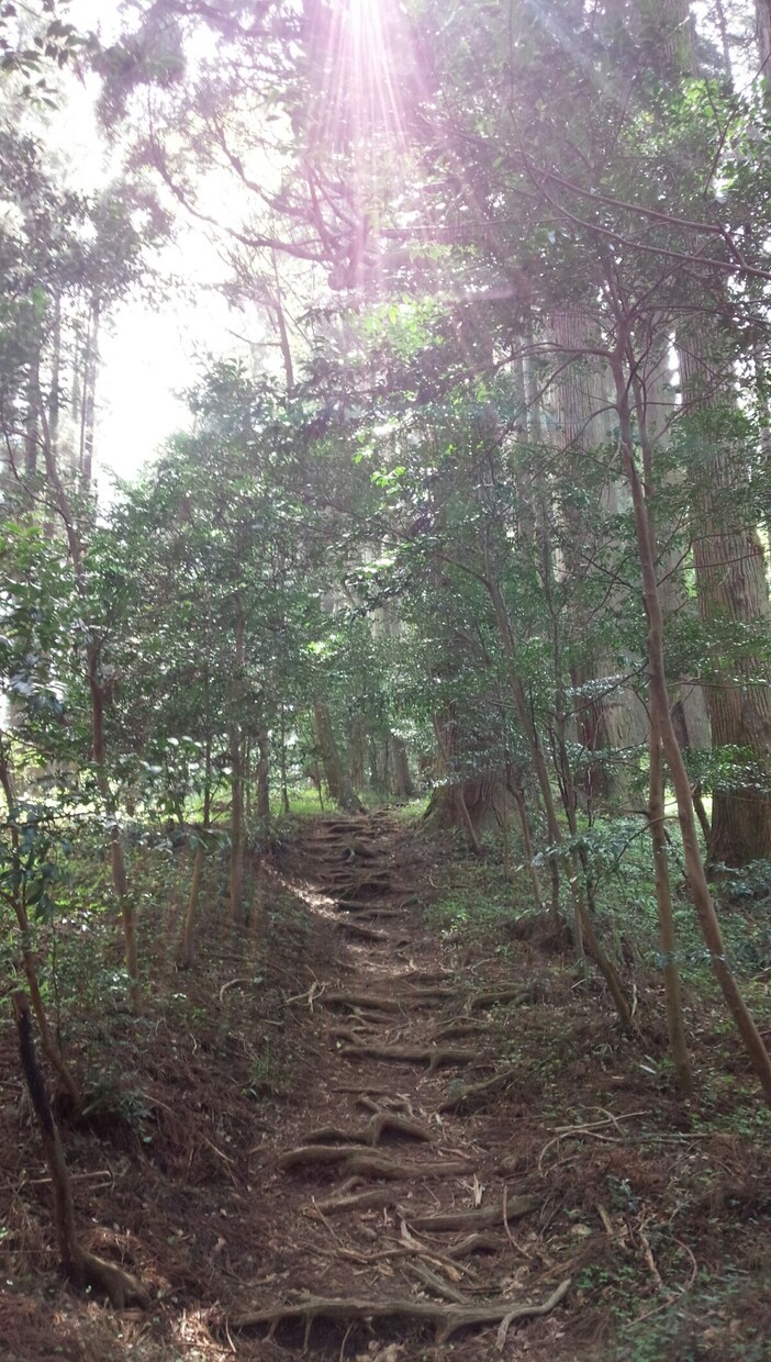 あなたのお悩みに、寄り添わせていただきます あなたに絡みついたものを解いていきます イメージ1