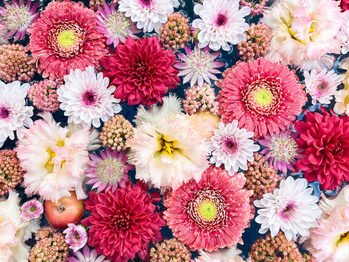 お花・植物・自然の写真提供します 色鮮やかなお写真多めに提供します イメージ1