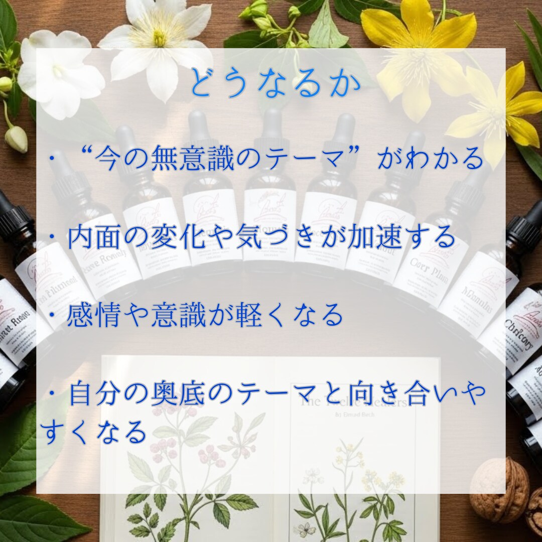 ヒーリー波動調整します ホメオパシーでストレスパターンの解放 イメージ6