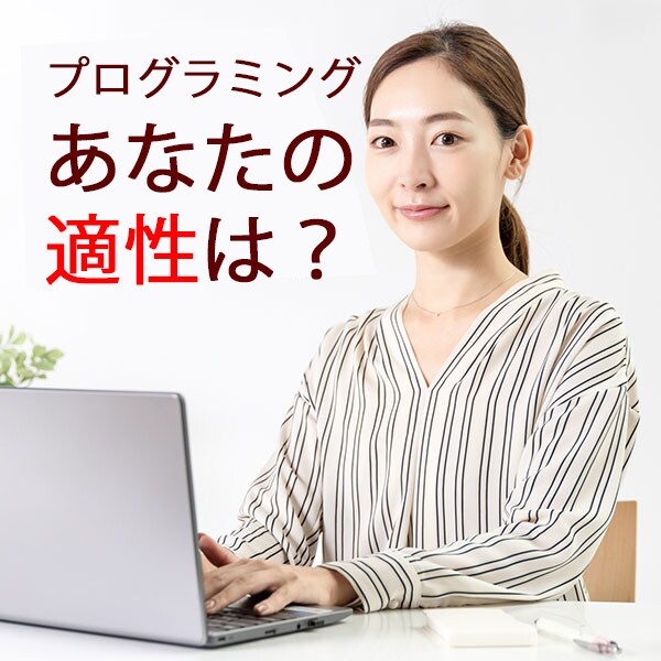 プログラマーの仕事内容を教え、適性を判断します これから始めたい人、プログラミングを続けられますか？ イメージ1