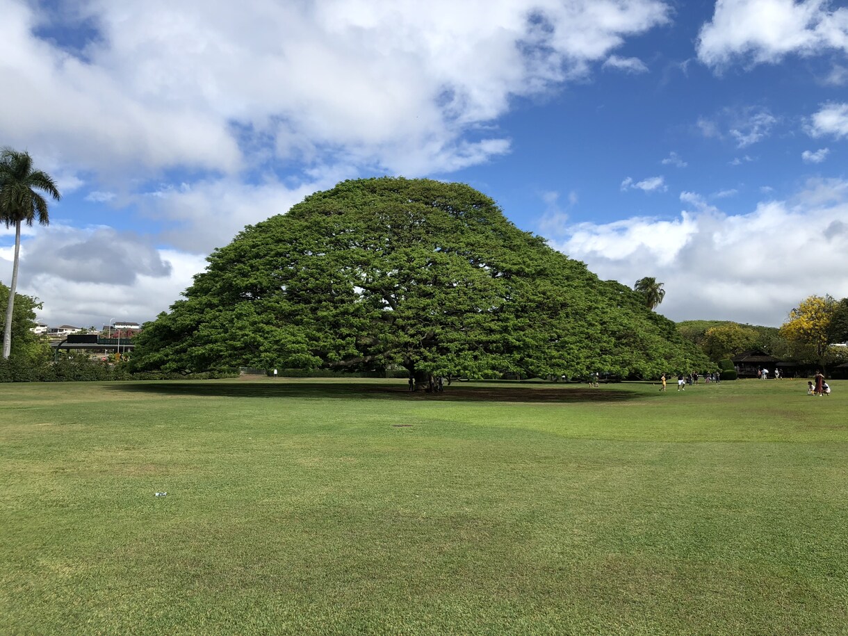 理学療法士の道を進もうとしている学生に教えます この先の未来が気になるあなたへ イメージ1