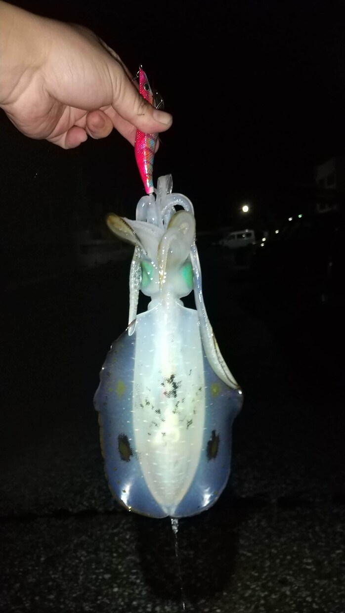 釣り初心者の方へ 希望に合わせてアドバイスします 釣歴30年の私が道具、エサ、釣り方、場所などアドバイスします イメージ5