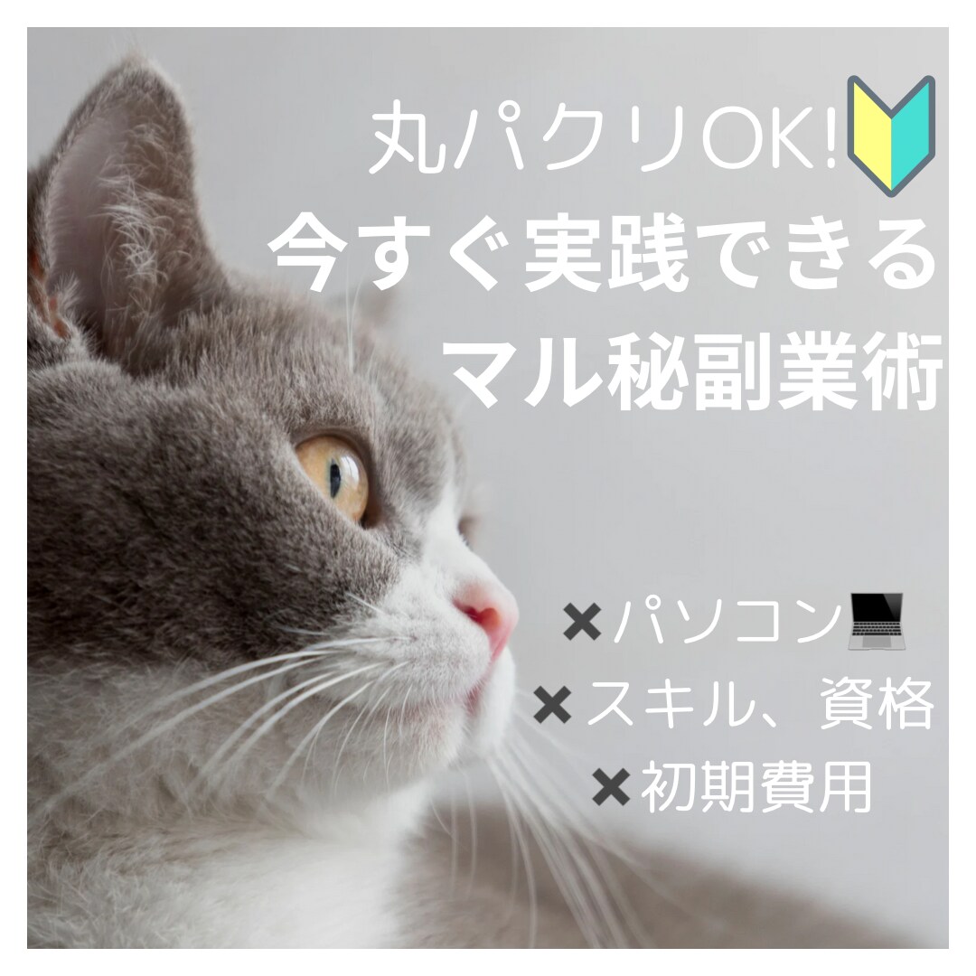 コピペだけ！今すぐできる副業お伝えしてます ワンオペ激務2児ママでもできた！今すぐ収益化したい方必見！ イメージ1