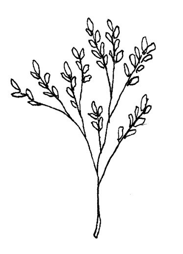 手描きで温かみのある線画でアイコンを描きます メニューやホームページに可愛いアイコンをプラスしませんか？ イメージ4