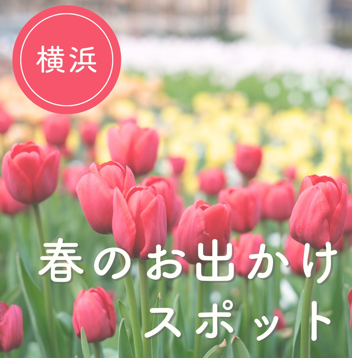 Instagram投稿画像をまるっと作成します インスタ運用のお手伝いをします イメージ4