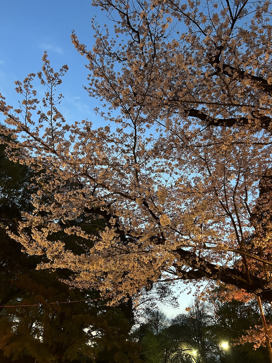 自慢まってます 自分を好きになろう、自分が主役のチャットです。 イメージ1
