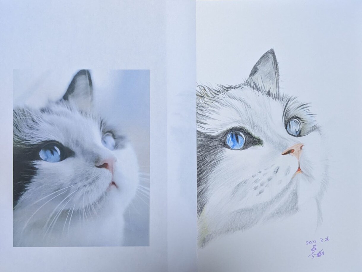 猫の似顔絵描きます 色鉛筆画で写真そっくりに描きます。 イメージ6