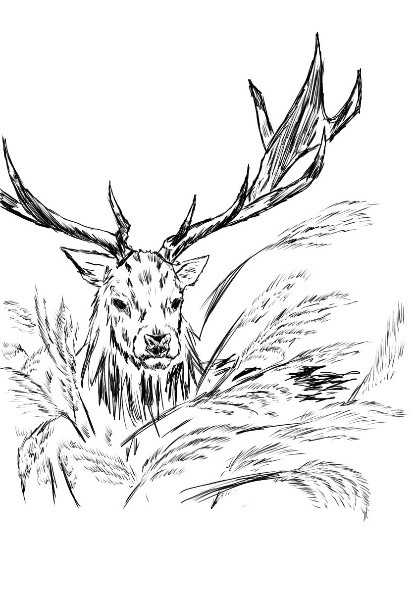 動物の絵を描きます 仕上がりは画像のような感じです！ イメージ2